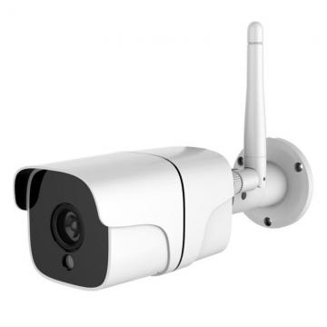Network Camera
